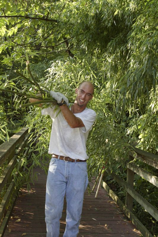 staff with bamboo