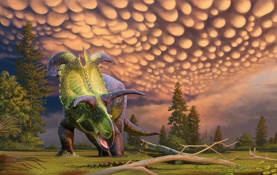 Colorful illustration of a reconstructed dinosaur species with several frills.