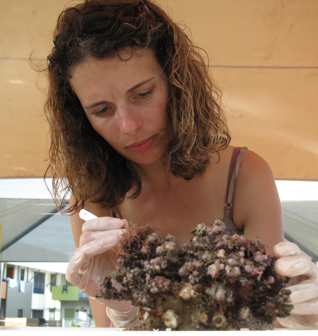 woman holding a coral head
